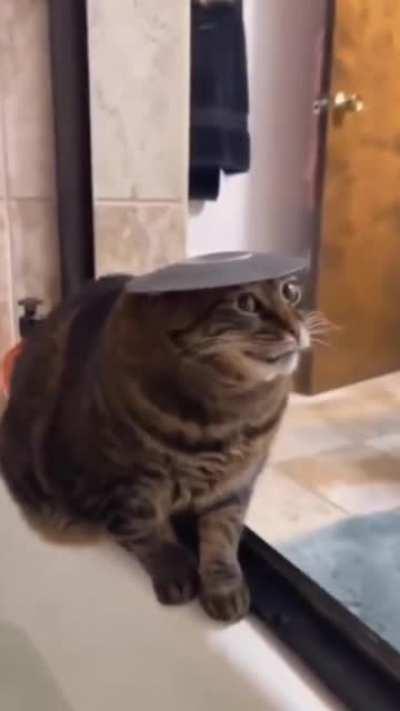 “You could never tell who was the enemy and who was not. Therefore you treated everybody with suspicion and distrust. The enemy was everywhere and everybody at all times, and we were the foreigners in their country…