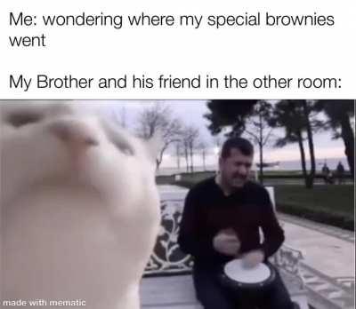 Special Brownies