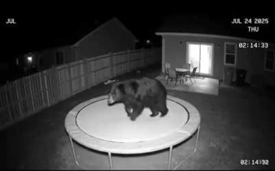 خرس گنده خجالتم نمی‌ کشه! :))