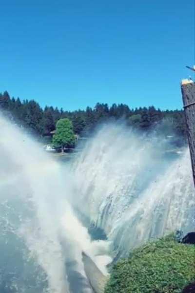 Falling tree splashes and creates a rainbow