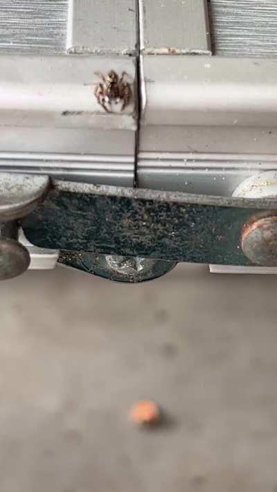 i felt bad after i calmed down, he just wanted to say hi