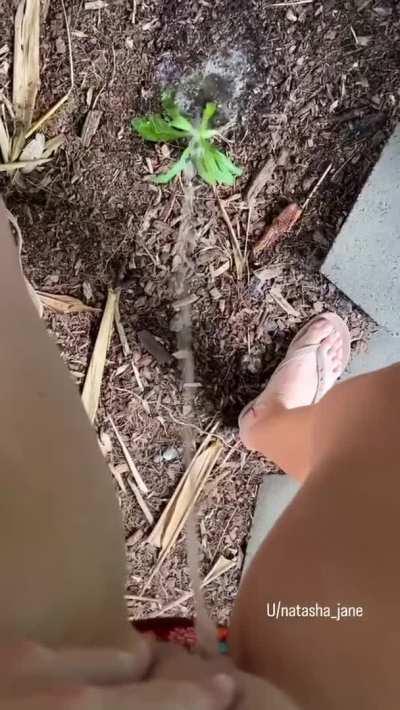 I’m like a fountain, drink me ;)