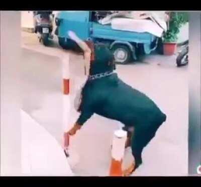 WCGW: Underestimating the doggo...