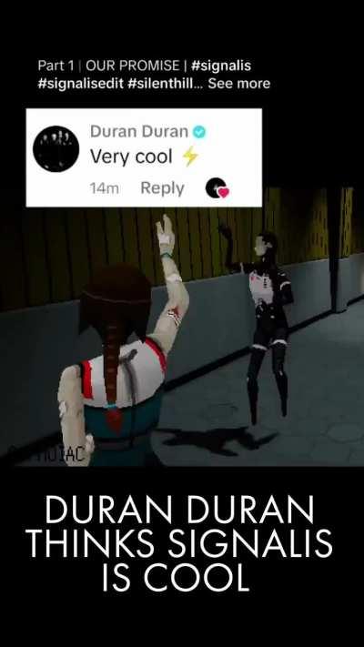 We live in the timeline where Duran Duran is now aware of Signalis.