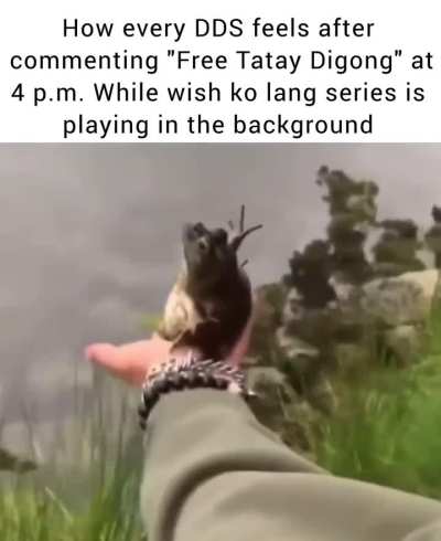 FREE TATAY DIGONG