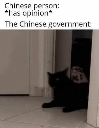 This goes for any other fascist regime, like N. Korea