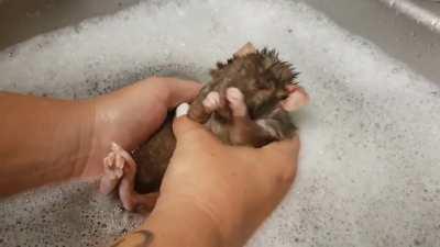 No matter how old you are, There's always bathtime.