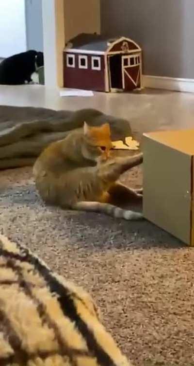 Love grooming mysel… oh I’m late!