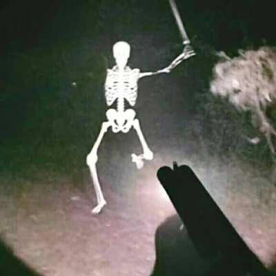 Pantheon of Hollownest be like