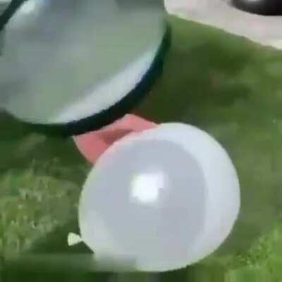 Absorption and reflection of light!