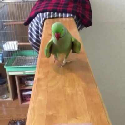 well someone is cranky this morning.