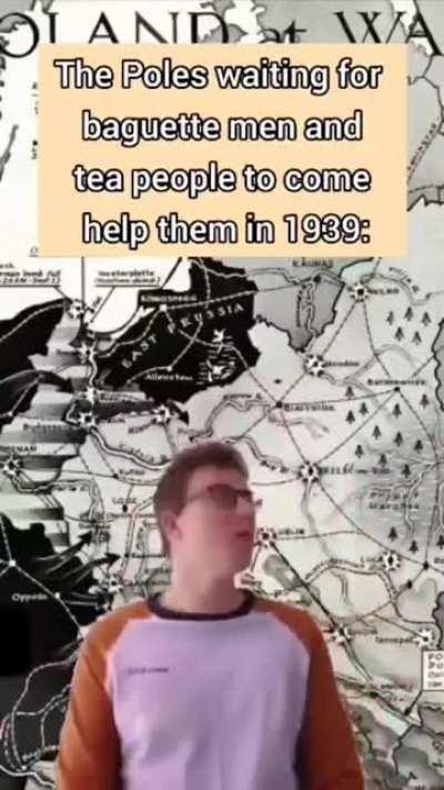 UK and France did nothing to protect Czechoslovakia in 1938, nor Poland in 1939...but why? Didn't they have a bigger army than German Army?