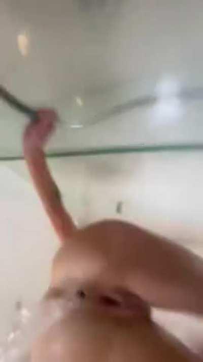 Something different for you this time .. should I do more like this ?