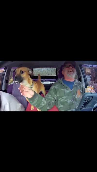 he didn't like the french fry and wasn't ashamed to show his displeasure