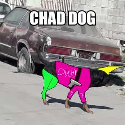 perro basado god rojopastillado