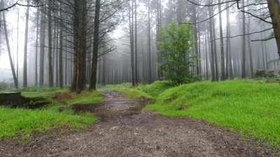 A gentle drizzle in the Irish mountains