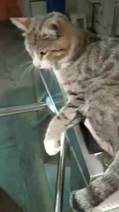 Closed ... use the next one