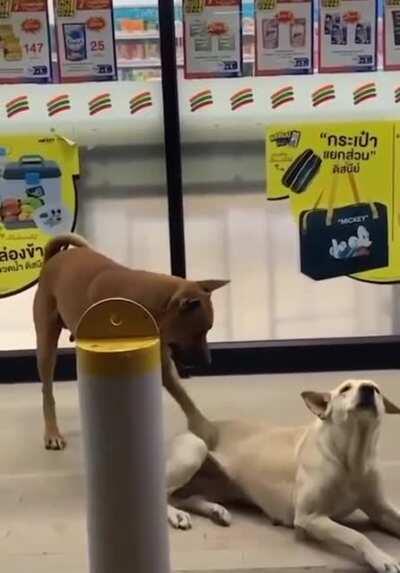 Let’s double team that itch