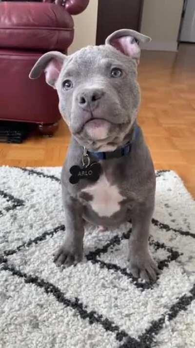 So my Mom's a Veterinarian and she just sent me this from her friend