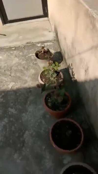 Passenger plane tilts and crashes in Nepal