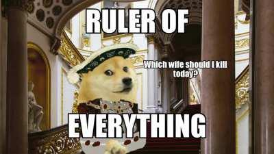 Doge of Everything
