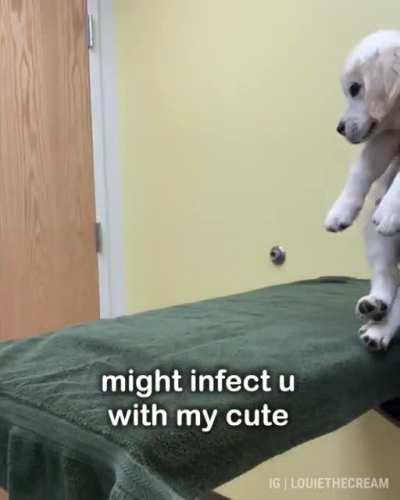 [oc] Pupper Goes to the Dogtor