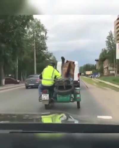 A bear in its natural habitat... A Sidecar