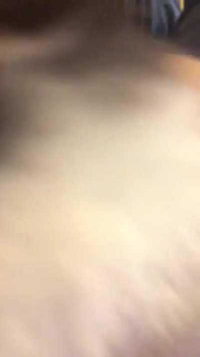 New kitten Noodle is extremely loud!!