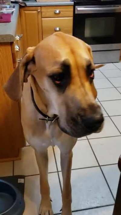 Your food >> my food