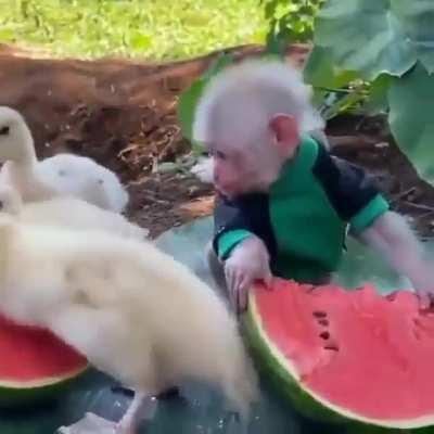 I Don't Know What Memes You Guys Want Anymore