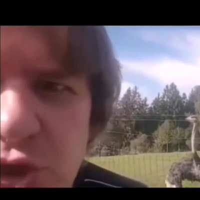 Radioaktīvās vistas