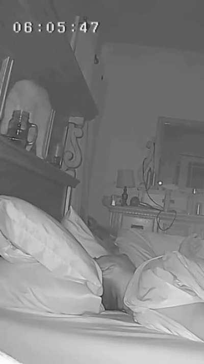 Nice sleeping, hooman!