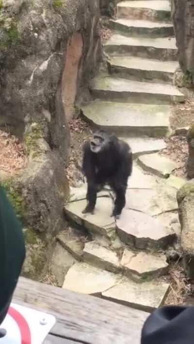 Never take grandma to the zoo