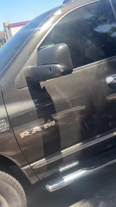 Dude trys hitting people with suv and unleashing dog on people