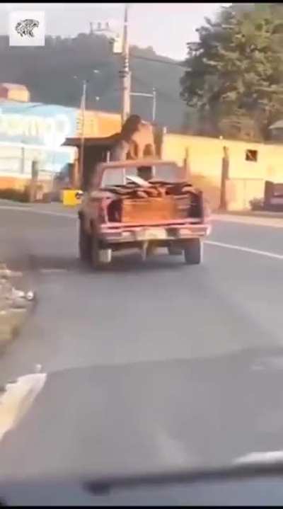 Argentina, no importa cuando veas esto