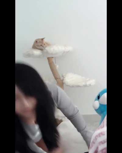 Hyoon's outfit today