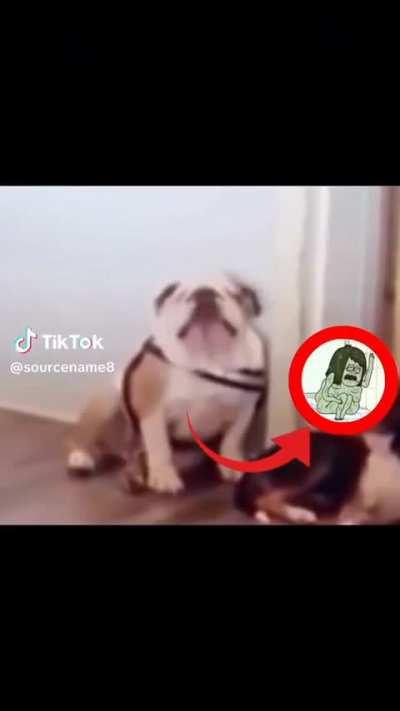 El perro de muyculoso 🥶