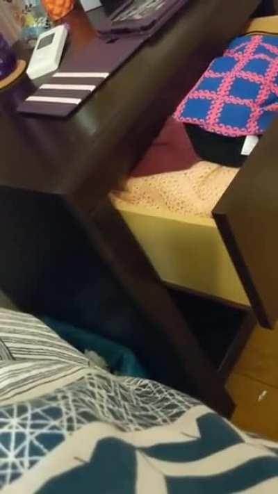 Where there is a Will There is a way