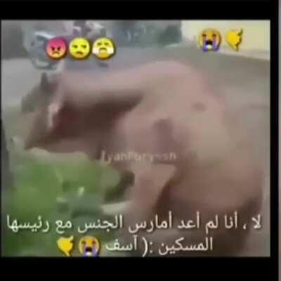 facebook emogis 😡🤙