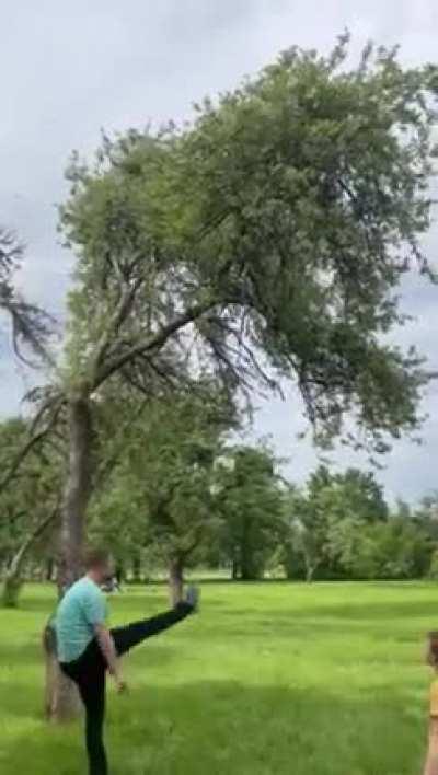 WCGW if we attempt to retrieve a stranded ball from a tree by hitting it with another ball