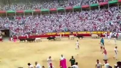 Hope the bulls are ok