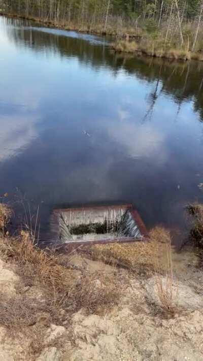 If delta p has taught me anything, it’s that the size of the hole doesn’t matter. Found this on a neature walk