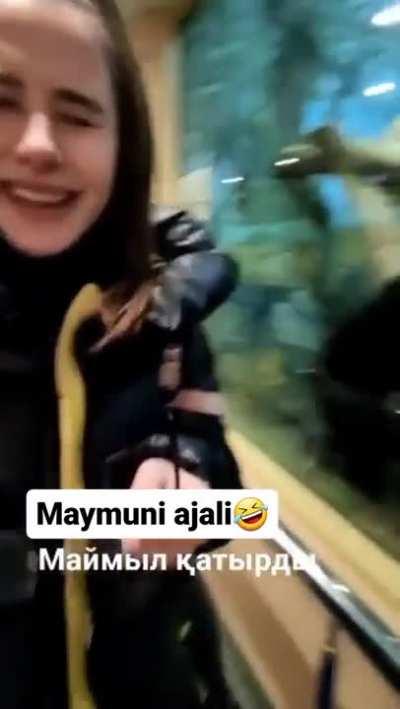 Hey! Check this out!