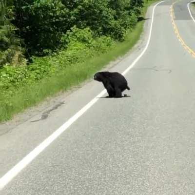 Когда медведь строит кирпичный завод за тебя