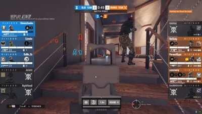 This is why I love Alibi.