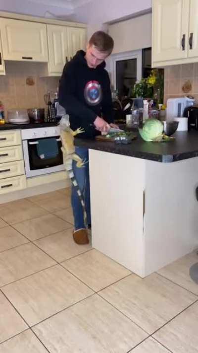 DrAgOn trYinG to SwALLow the HuMan