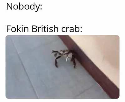Crabs of London