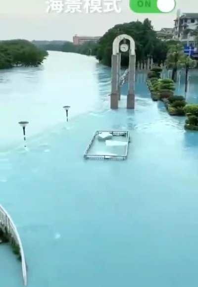 Chinese government taking measures against global warming