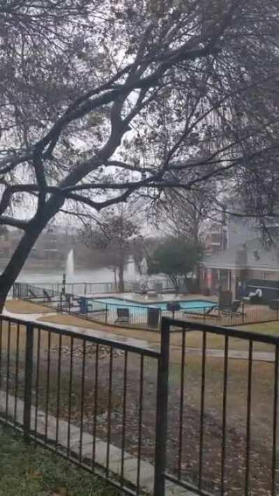 Freezing rain but really loved the fragrance and sounds