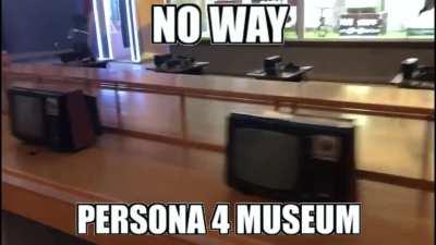 i took the footage myself 😎😎😎